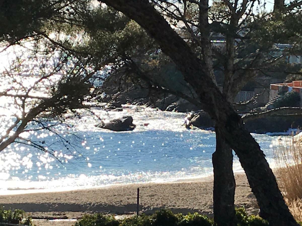 Rez De Villa Pebrier Fréjus Eksteriør billede